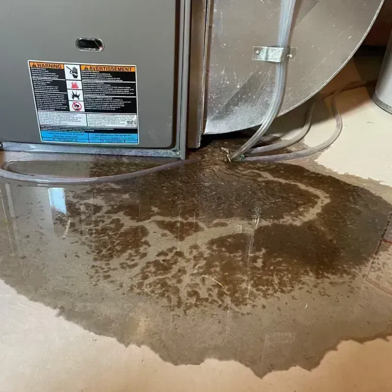 Appliance Leak Cleanup in Edinburg, IL